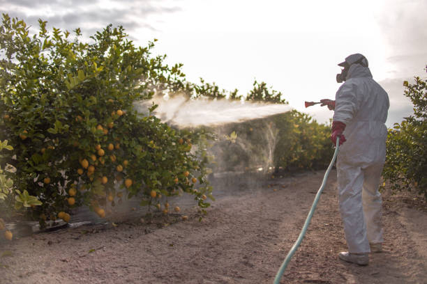 Best Insect Control  in Altamont, KS