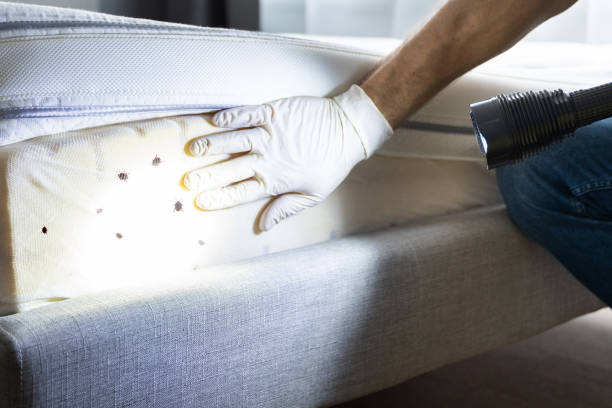 Best Exterminator Services  in Altamont, KS
