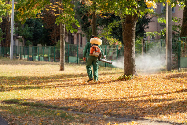 Best Best Pest Control Companies  in Altamont, KS