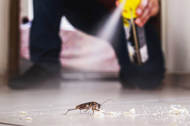 Best Cockroach Control Services  in Altamont, KS
