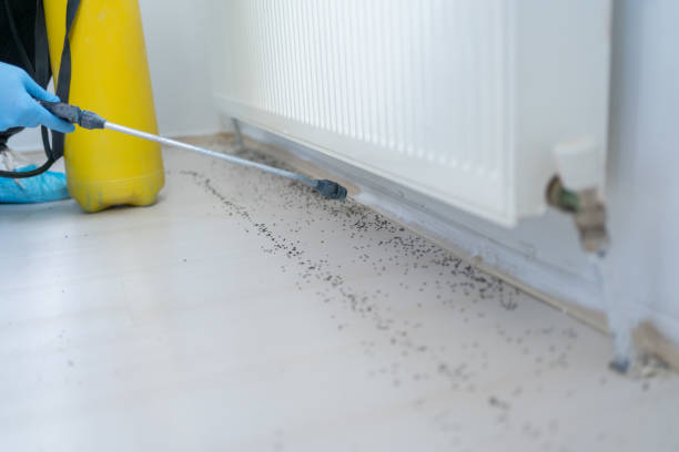 Best Cockroach Control Services  in Altamont, KS